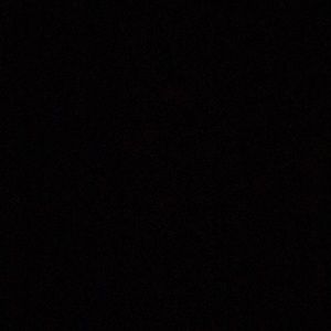 Meet your Posher, Bonnie